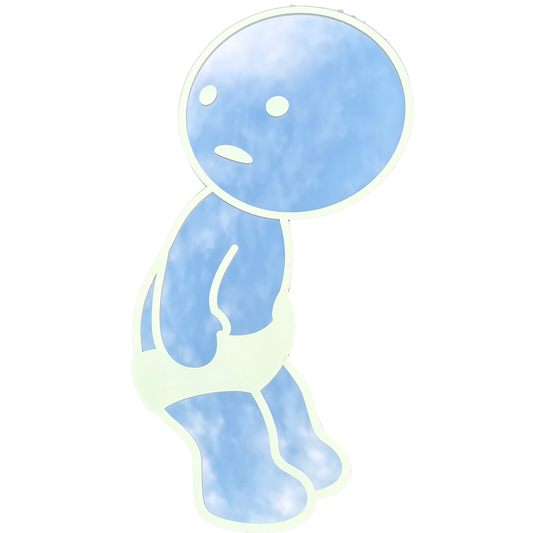 “Shy Guy” - SMISKI Mirror